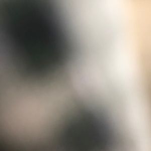 Meet your Posher, Luke